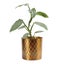 Khana Indoor Metal Planter 21cm - Brass Finish Carousel 3