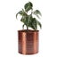 Assam Indoor Metal Planter 21cm - Rose Gold Finish Carousel 3