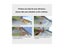 Sealing Strips Door Window Seal Carousel 4