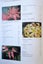 Encyclopedia of Tropical Plants the Identification and Cultivation... (SKU BK29) Carousel 10