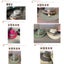 Cowboy Hat Carousel 6