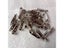 100pcs DIY Safety Pins Brooch Jewelry Findings For Making Jewelry Carousel 4