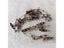 100pcs DIY Safety Pins Brooch Jewelry Findings For Making Jewelry Carousel 5