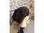CAMMITEVER Brown Hair Mannequins Hairdressing Styling Makeup Training Model Carousel 5