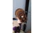 CAMMITEVER Mannequin Bracket For Women Hairdressing Manikin Carousel 5