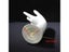 New Fashion Women Mannequin Hand Arm Display Base Female Gloves Rings Watches Carousel 6