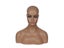 New Female Realistic Mannequin Head Fiberglass Jewelry And Hat Display Glasses Carousel 6