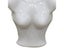 Hot Plastic Half Body Female Mannequin Torso For Underwear Clothing Display Carousel 4