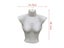 Hot Plastic Half Body Female Mannequin Torso For Underwear Clothing Display Carousel 2