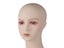 New PVC Female Mannequin Head For Display Wigs Hats Cap Headphone Scarf Carousel 7