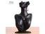 Resin Women Mannequin Head Display For Jewelry Accessories Abstract Art Carousel 1