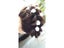CAMMITEVER Hairdresser Head Hair Brown Training Mannequin Head Hairdressing Carousel 4