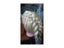 CAMMITEVER White Hair Mannequin Hairstyling Hairdressing Training Head White Carousel 4