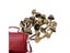 20pcs/lot Metal Feet Rivets Studs Pierced For DIY Purse Handbag Leather Crafts Carousel 4