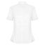 Henbury Womens/Ladies Oxford Modern Shirt Carousel 1