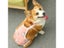 Dog Pants Dog Diaper Carousel 4