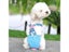 Pet Dog Strap Physiological Pants Washable Puppy Shorts Carousel 4
