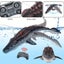 2.4G RC Mosasaurus Dinosaur Toy, Kids Shark Toy, Body Link Can Swing Freely Carousel 1