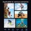 4k Hd Touch Dual Lcd Screen Handheld Sports Waterproof Camera Outdoor Anti Sh... Carousel 7