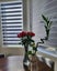 Zebra blinds(Custom made) Carousel 6