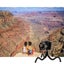 Loading Image 9 of 9