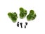 Loading Image 1 of 9