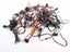 Loading Image 1 of 1