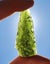 Moldavite 20.11g Carousel 5