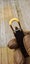 15cm MINI Black Gold ULTRA Sharp Black Blade Pocket Folding Knife Key Ring Carousel 8