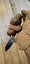 15cm MINI Black Gold ULTRA Sharp Black Blade Pocket Folding Knife Key Ring Carousel 15