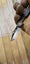 15cm MINI Black Gold ULTRA Sharp Black Blade Pocket Folding Knife Key Ring Carousel 18