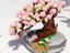 Bonsai Flowers Building Blocks Set Bricks Toys Home Decor Style 2 Carousel 2