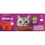 Whiskas Wet Cat Food Beef Favourites In Gravy Pouch 18x85g Carousel 6