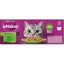 Whiskas Wet Cat Food Mixed Favourites In Jelly Pouch 18x85g Carousel 6