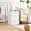 1 Pair Side Tables Carousel 11