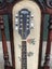 Brand New Washburn Mandolin Carousel 3