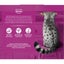 Whiskas Wet Cat Food Mixed Selections In Gravy Pouch 12x85g Carousel 3