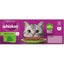 Whiskas Wet Cat Food Mixed Favourites In Gravy Pouch 18x85g Carousel 6
