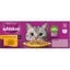 Whiskas Wet Cat Food Chicken Favourites In Jelly Pouch 18x85g Carousel 6