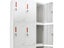 Locker Carousel 6