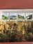 Norfolk Island Scenes Definitive Issue in a Booklet Carousel 3