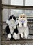 Backpack - Cute Cat plush Backpack, Handcrafted Cat Shaped Backpack Gift Carousel 5