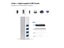 Usb Hub Carousel 6