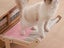 Adjustable Cat Window Perch Cat Hammock Hanging Cat Bed - Grey Pink Carousel 3