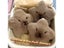 Capybara Plush Doll Star Squeak Toy Cartoon Keychain Pendant Carousel 3