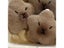 Capybara Plush Doll Star Squeak Toy Cartoon Keychain Pendant Carousel 4