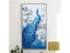 Meian 5D Special Shaped Diamond Painting Kit Peacock Animal Mosaic Dotz Carousel 3