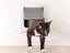 Magnetic Closure Cat Flap Door Frame Pet Entrance Gate for Cats Puppy - White M Carousel 3