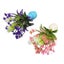 Loading Image 1 of 5