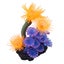 Loading Image 1 of 5